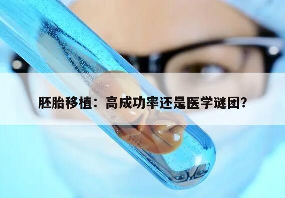 胚胎移植成功率高吗?——解读现有数据和技术进展