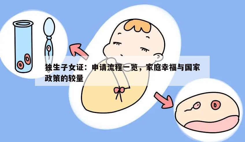 独生子女证：申请流程一览，家庭幸福与国家政策的较量