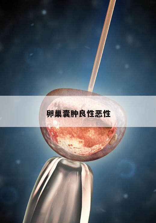 卵巢囊肿良性恶性