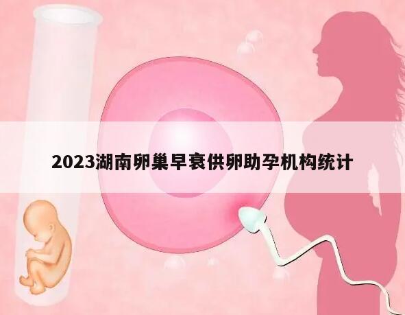 2023湖南卵巢早衰供卵助孕机构统计