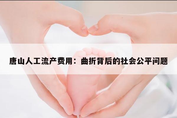 唐山人工流产费用:曲折背后的社会公平问题