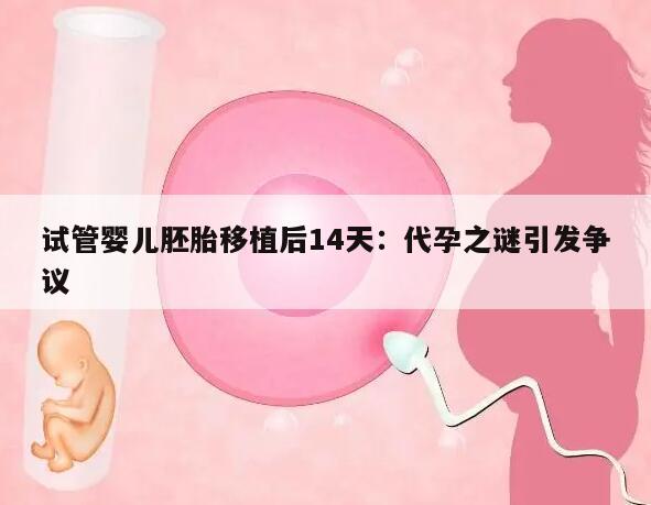 试管婴儿胚胎移植后14天抽血检查未怀孕的原因和解决办法