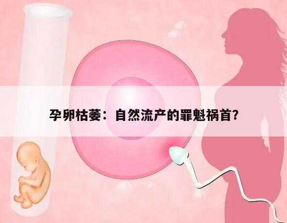 孕卵枯萎:自然流产的罪魁祸首?