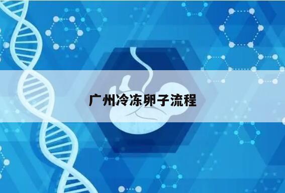 广州冷冻卵子流程
