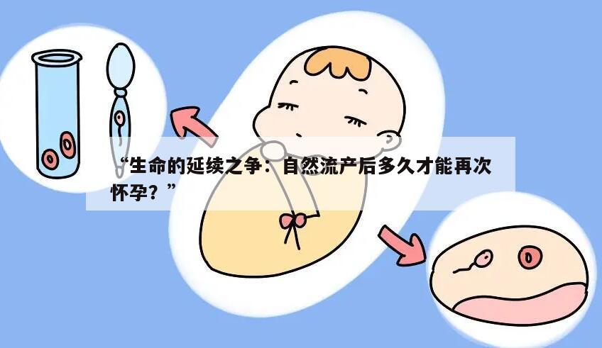 生命的延续之争:自然流产后多久才能再次怀孕?