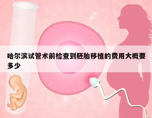 哈尔滨试管术前检查到胚胎移植的费用大概要多少