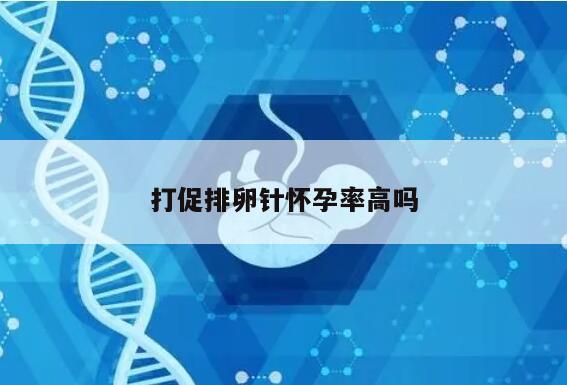 打促排卵针怀孕率高吗？