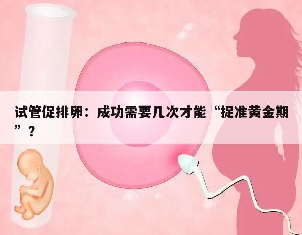 试管促排卵:成功需要几次才能“捉准黄金期”?