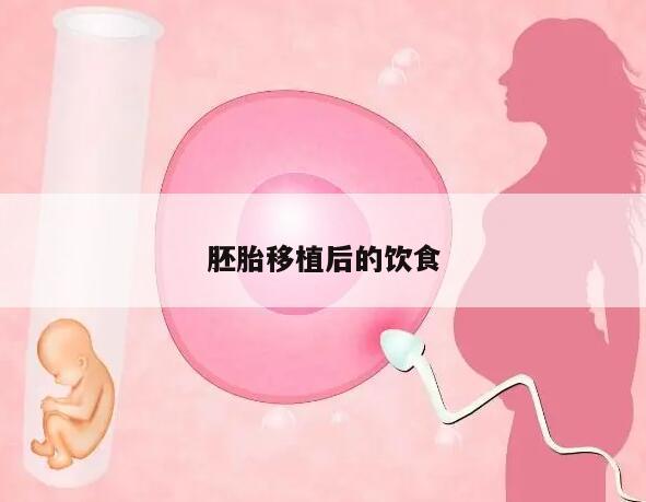 胚胎移植后的饮食注意事项