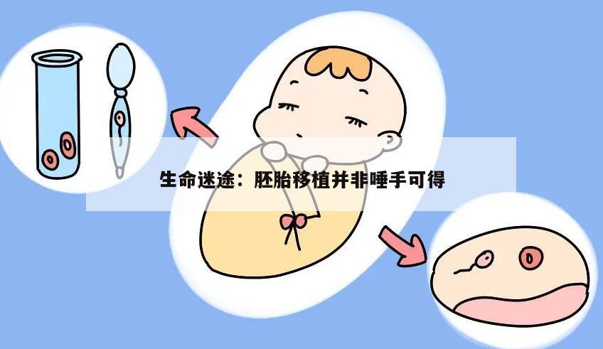 胚胎移植并非都能一次就成功的原因