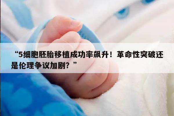 5细胞胚胎移植成功率飙升！革命性突破还是伦理争议加剧？