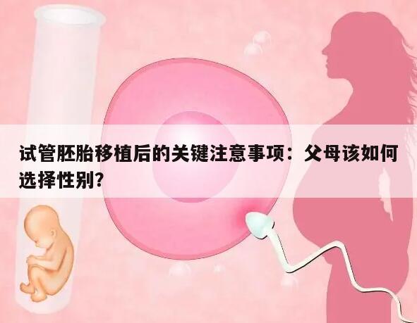 试管胚胎移植后的关键注意事项:父母该如何选择性别?