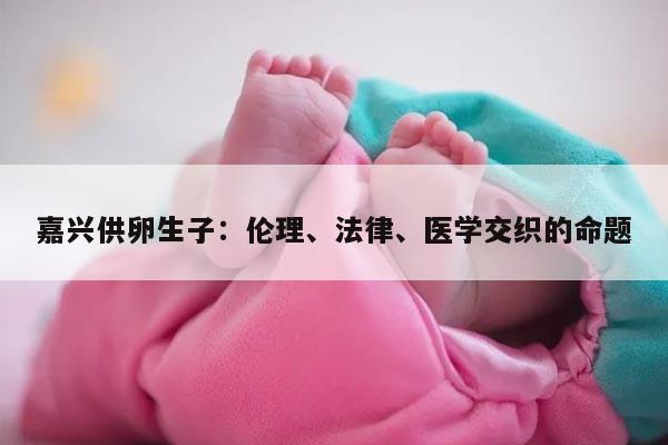 嘉兴供卵生子：伦理、法律、医学交织的命题