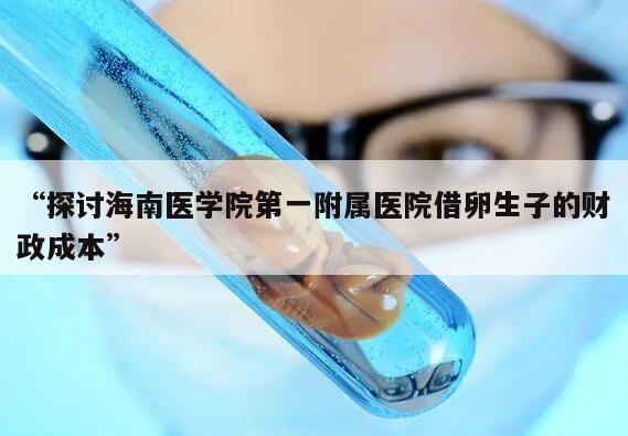 探讨海南医学院第一附属医院借卵生子的财政成本