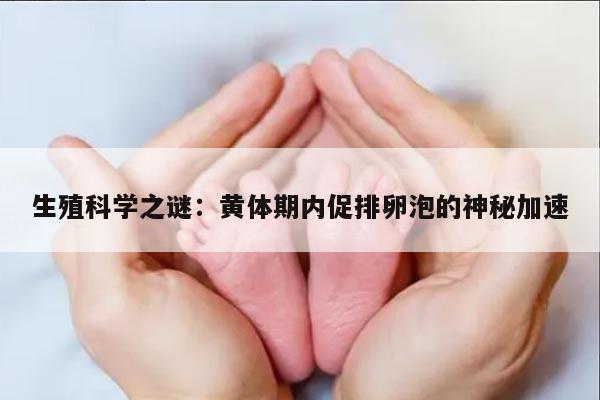 生殖科学之谜:黄体期内促排卵泡的神秘加速