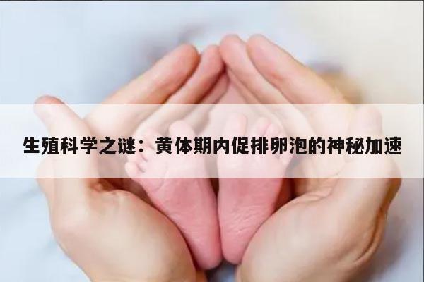 生殖科学之谜：黄体期内促排卵泡的神秘加速