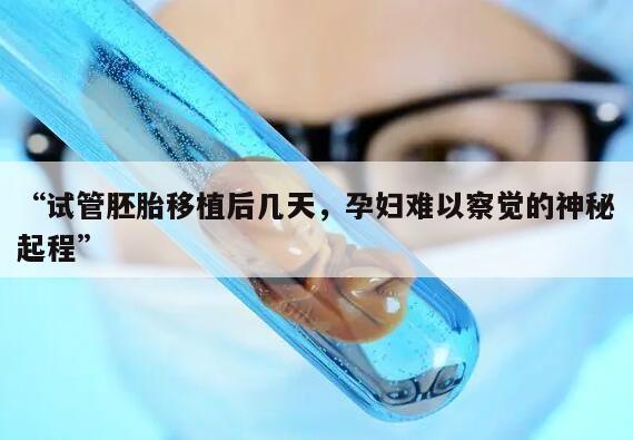 供卵试管胚胎移植后几天着床的相关知识解析