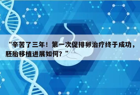 “辛苦了三年！第一次促排卵治疗终于成功，胚胎移植进展如何？”