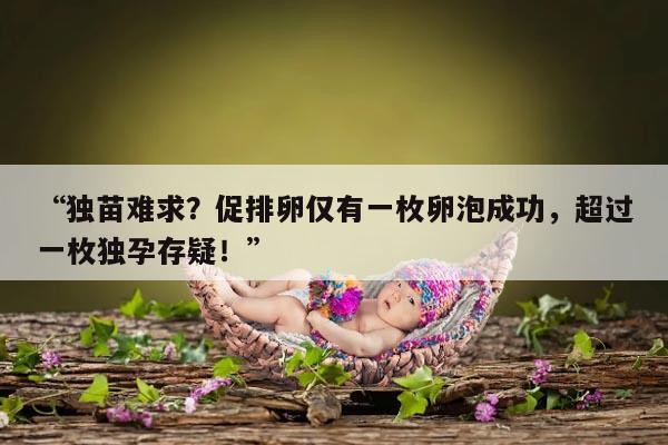 促排卵只有一个卵泡成功的有吗?