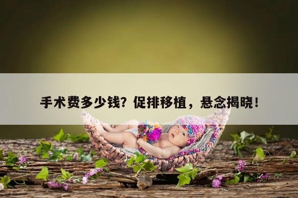 促排移植多少钱？了解相关费用问题