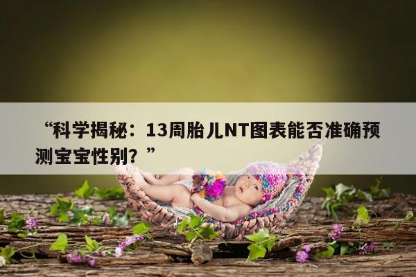 科学揭秘:13周胎儿NT图表能否准确预测宝宝性别?