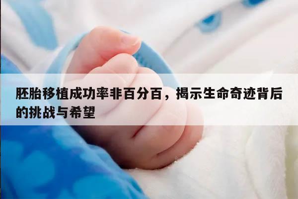 胚胎移植成功率非百分百,揭示生命奇迹背后的挑战与希望