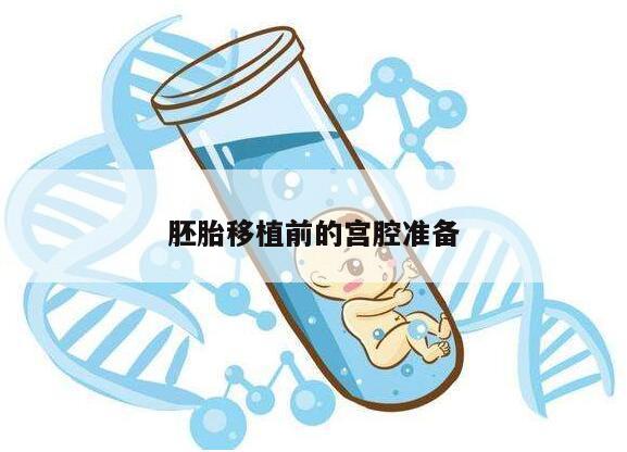 胚胎移植前的宫腔准备