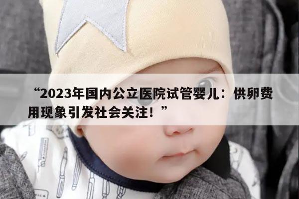 2023年国内公立医院供卵试管费用
