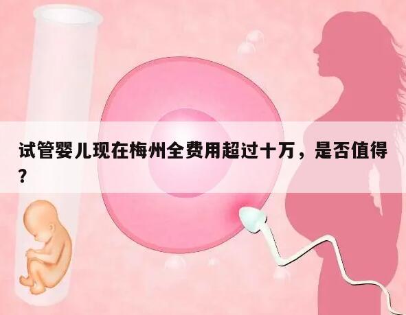 现在梅州做试管婴儿全部费用要多少钱?