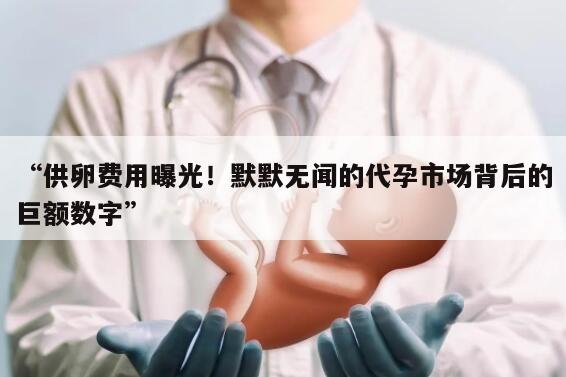 供卵费用曝光！默默无闻的代孕市场背后的巨额数字