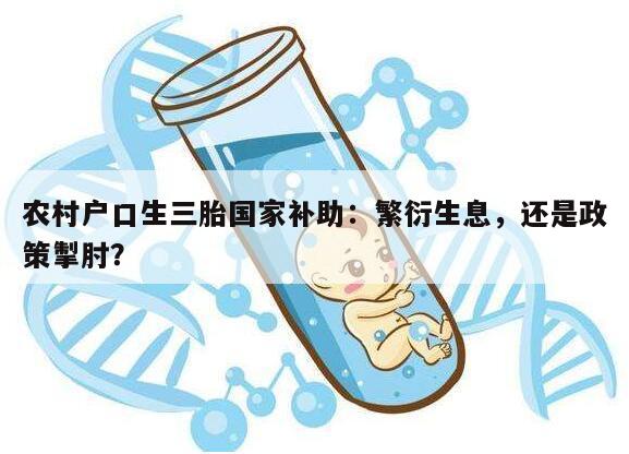 农村户口生三胎国家补助:繁衍生息,还是政策掣肘?