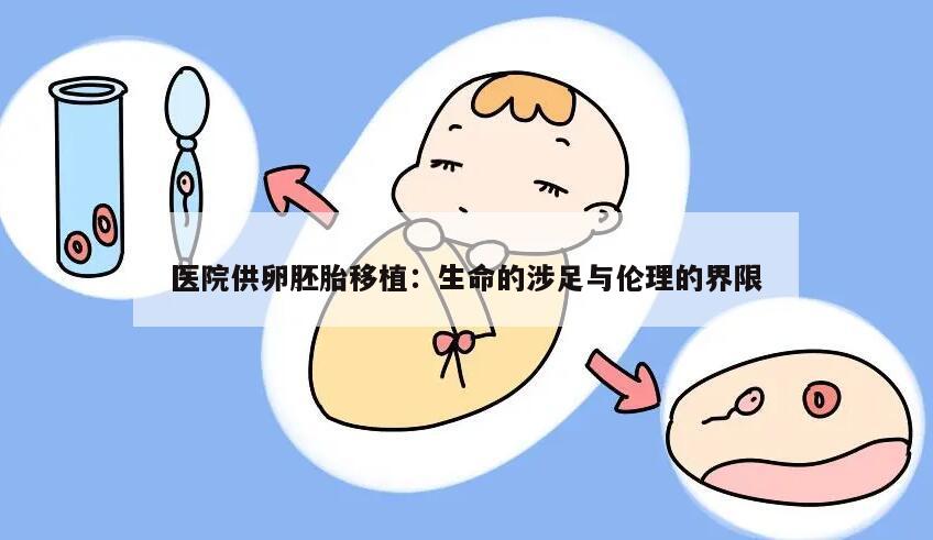 医院供卵胚胎移植:生命的涉足与伦理的界限