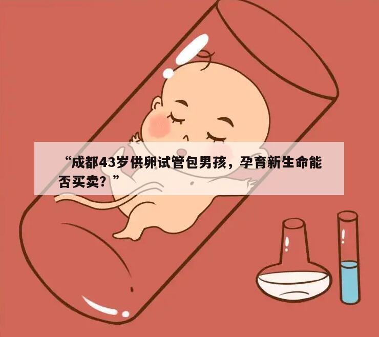 成都43岁供卵试管包男孩，孕育新生命能否买卖？