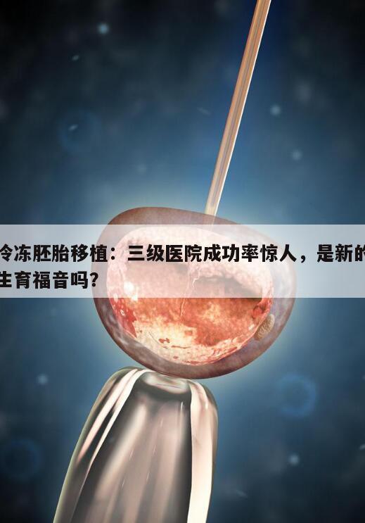 三级冷冻胚胎移植成功率的影响因素及展望