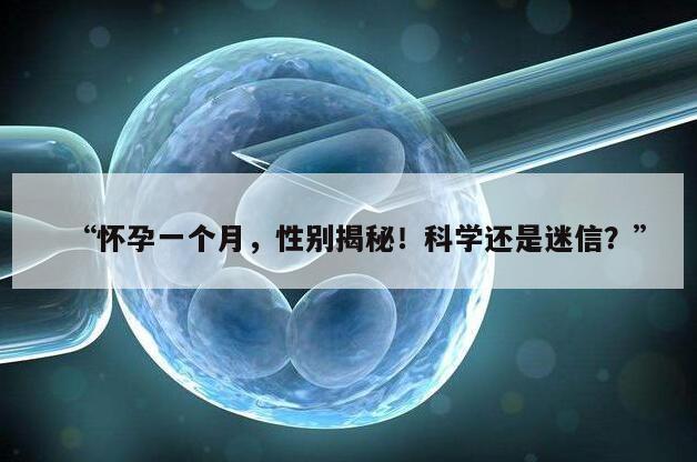 怀孕一个月,性别揭秘!科学还是迷信?