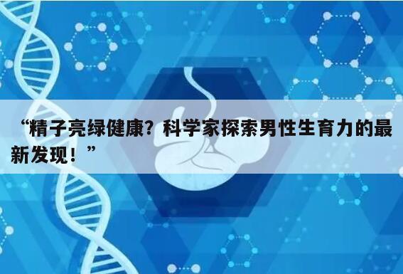 精子亮绿健康?科学家探索男性生育力的最新发现!