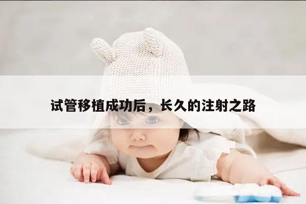 试管移植成功后的针药治疗：持续关注和维持妊娠