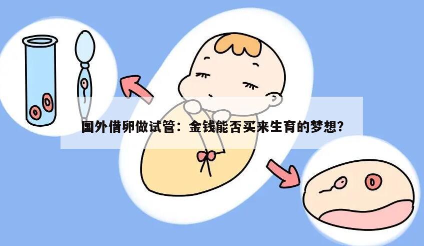 国外借卵做试管需要准备多少钱?
