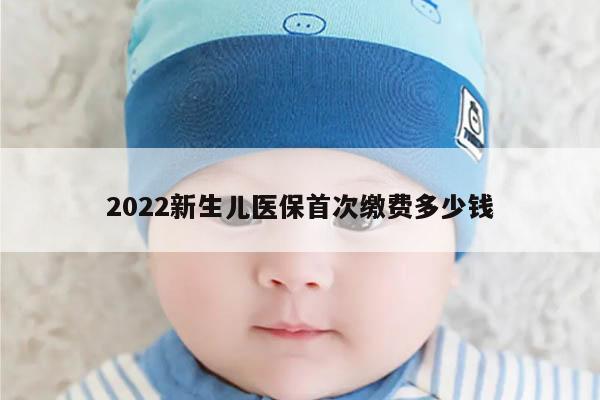 2022新生儿医保首次缴费多少钱？