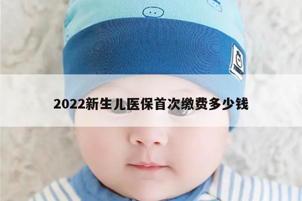 2022新生儿医保首次缴费多少钱?