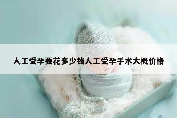 人工受孕要花多少钱？人工受孕手术大概价格是多少？