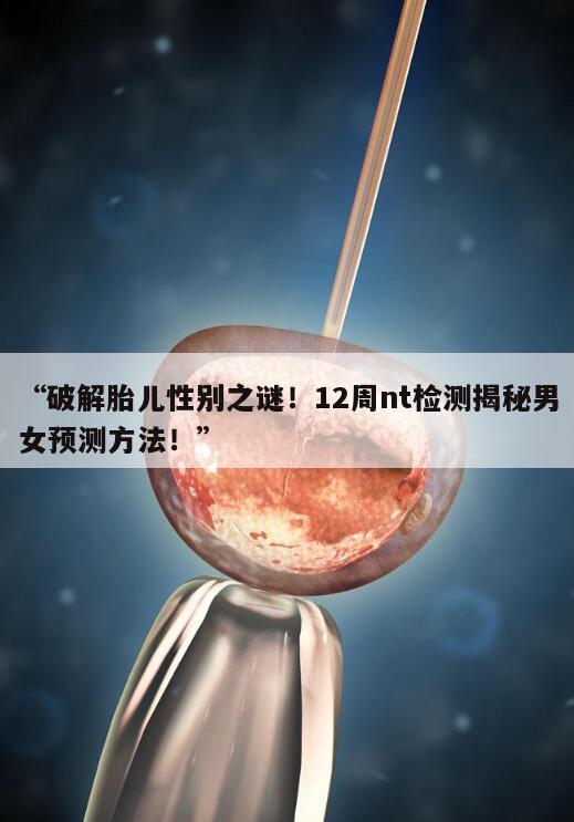 破解胎儿性别之谜！12周nt检测揭秘男女预测方法！