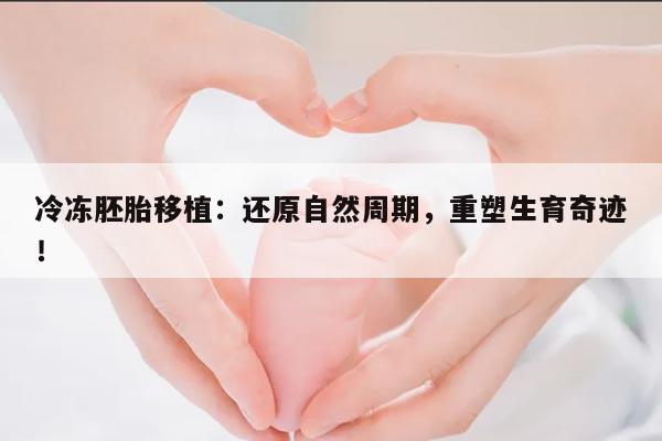 冷冻胚胎移植:还原自然周期,重塑生育奇迹!