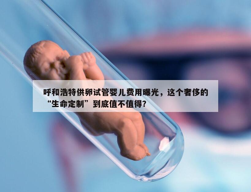 呼和浩特供卵试管婴儿费用多少钱