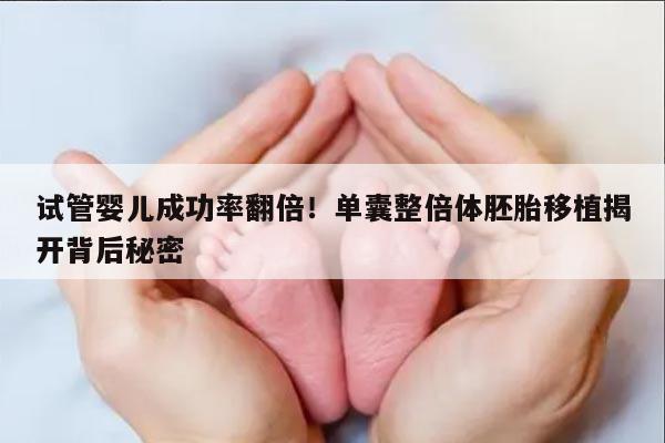 单囊整倍体胚胎移植:从根本上决定试管成功率