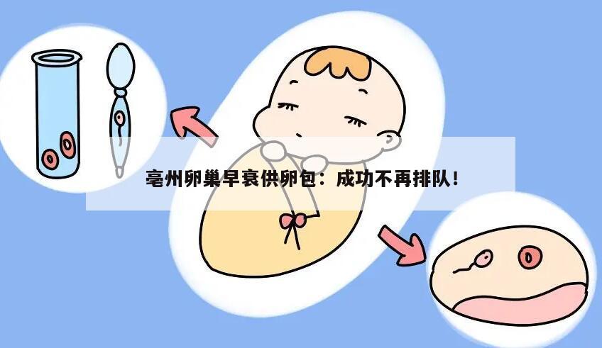 亳州卵巢早衰供卵包:成功不再排队!