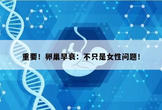重要!卵巢早衰:不只是女性问题!