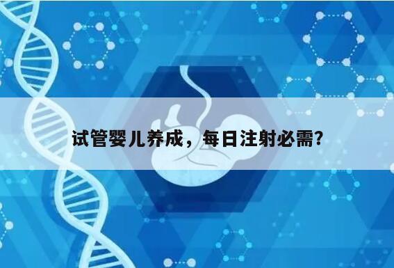 试管婴儿养成，每日注射必需？