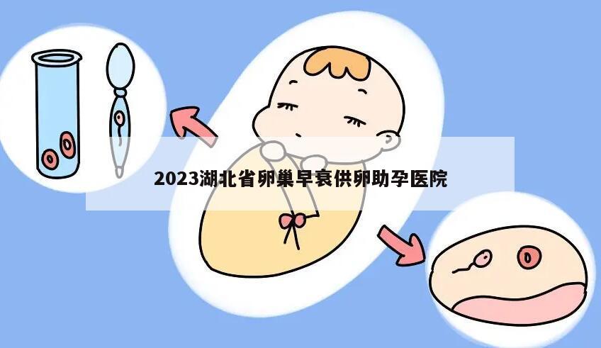 2023湖北省卵巢早衰供卵助孕医院