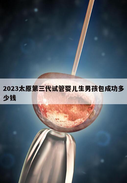 2023太原第三代试管婴儿生男孩包成功多少钱？